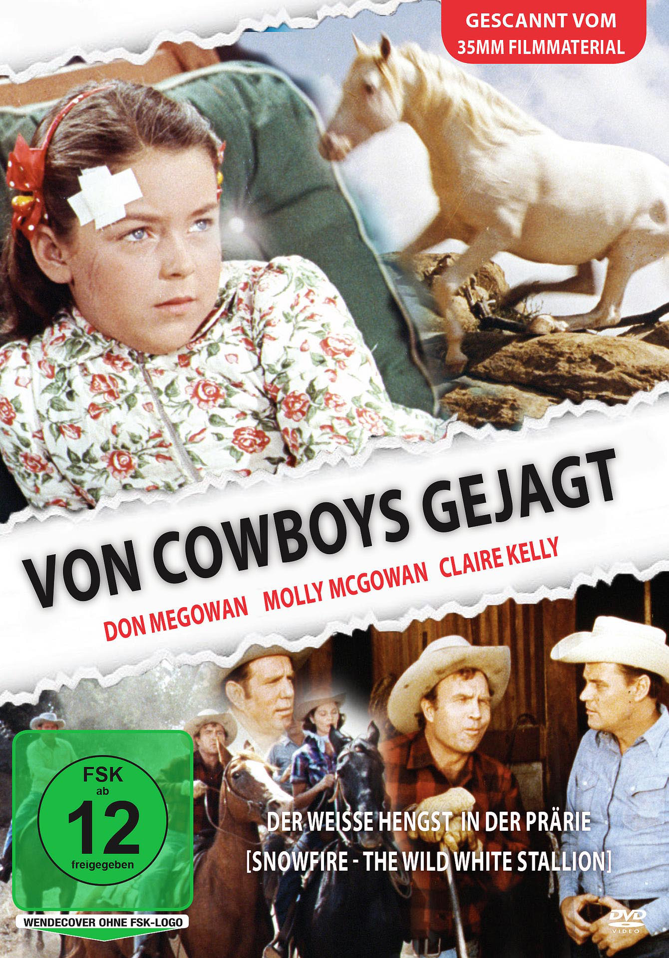 Von Cowboys Gejagt - Snowfire DVD