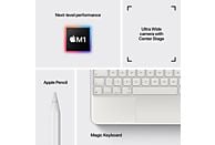 APPLE iPad Pro 11" (2021) WiFi - Zilver 1TB