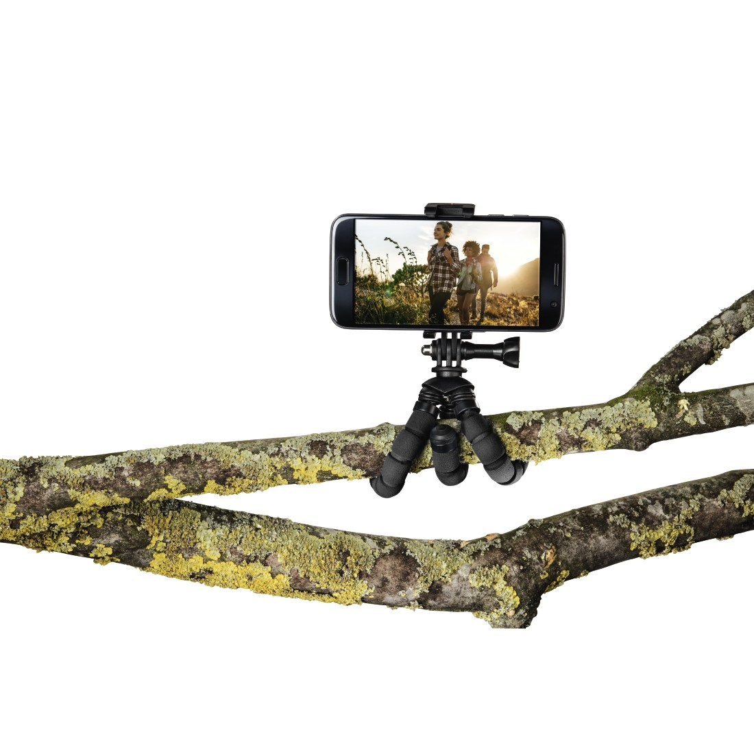 Bir ağaç dalında bir tripod üzerine monte edilmiş bir telefon. Ekran, bir tarlada insanları gösteriyor.