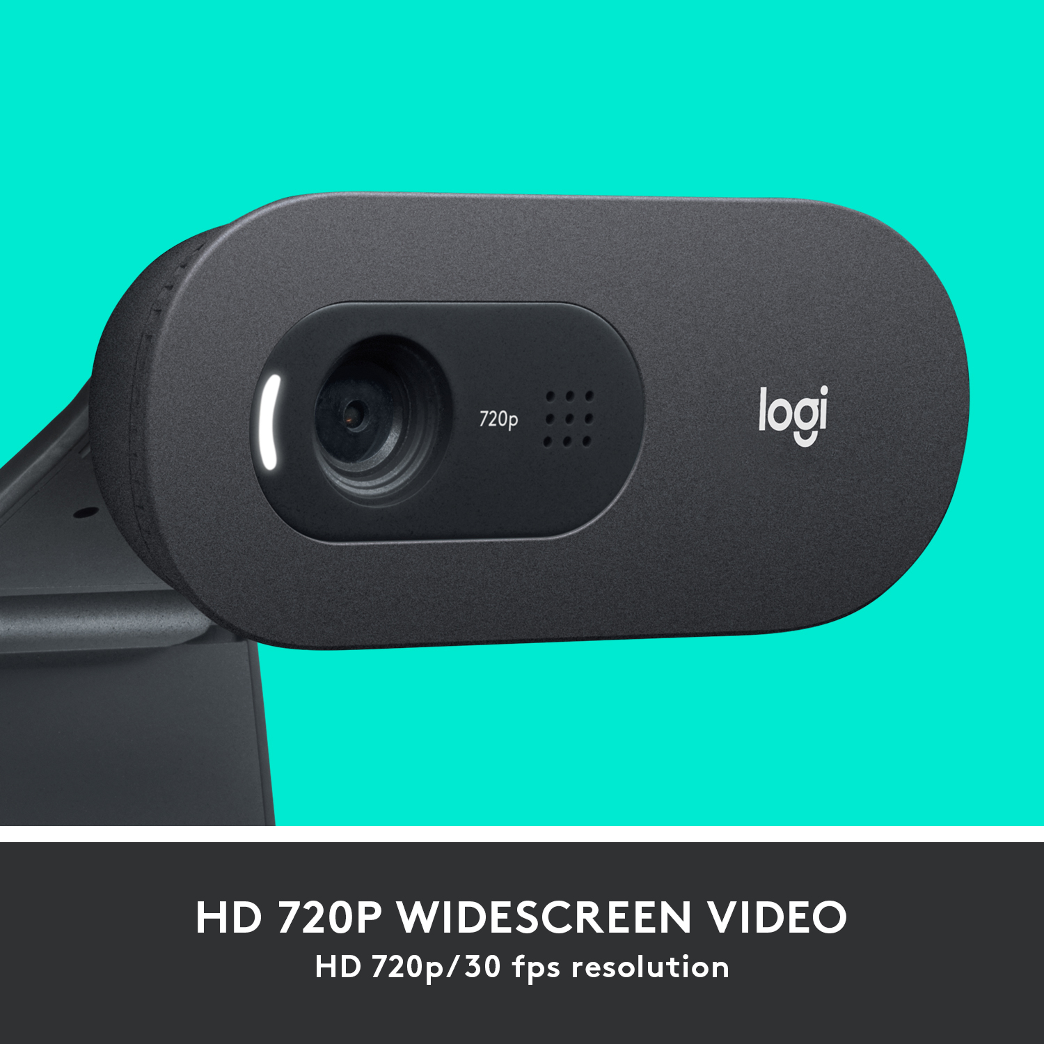 LOGITECH C505 HD - Webcam (Nero)