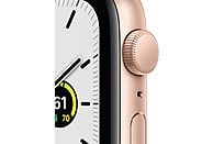 APPLE Watch SE 44 mm goud aluminium / sterrenlicht sportband