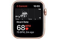 APPLE Watch SE 44 mm goud aluminium / sterrenlicht sportband