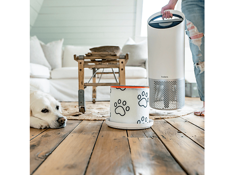 LEITZ 2415130 Z-2000 Haustier Aktivkohlefilter