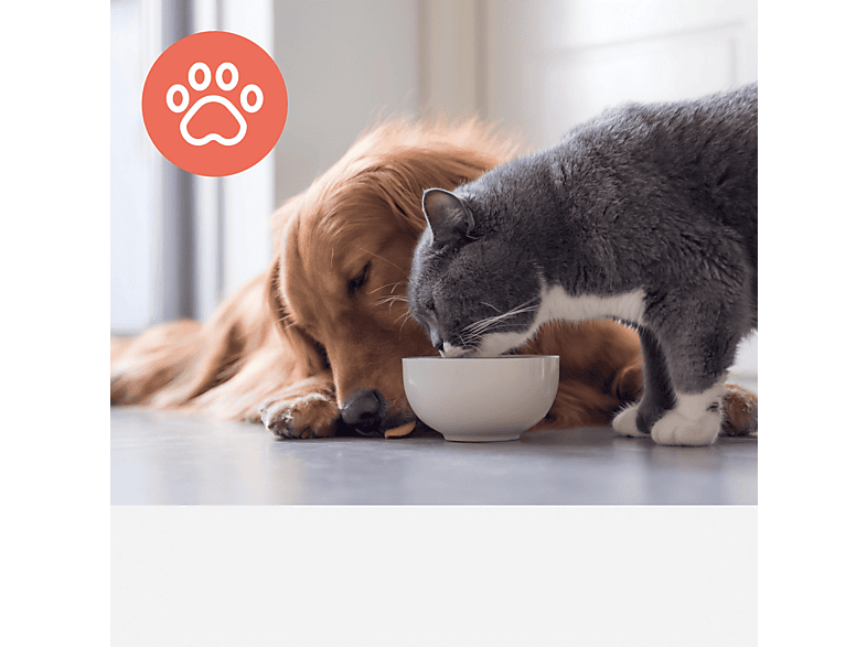 LEITZ 2415130 Z-2000 Haustier Aktivkohlefilter