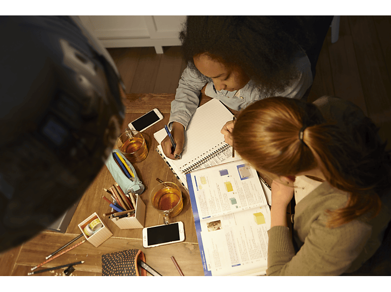 PHILIPS LED 20W MR16 WW 36D Lampe Warmweiß