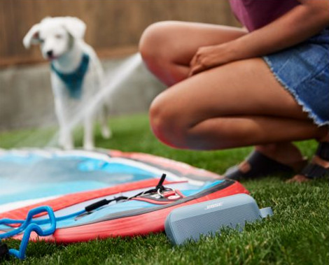 Une personne est accroupie près d'une enceinte bleue et d'une planche de surf. Un chien est arrosé.