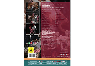 Camarena/Salsi/Kamani/Frizza/+ - Rigoletto  - (DVD)