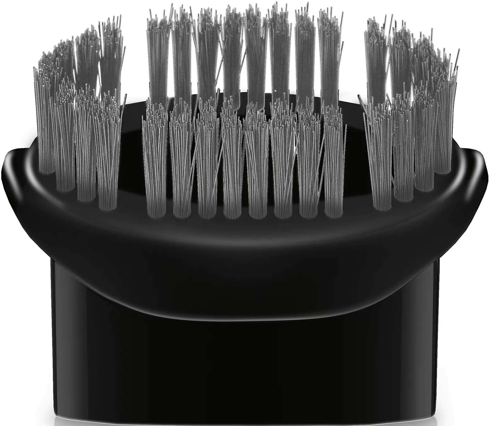 Gros plan sur une tête de brosse avec de nombreux poils gris.