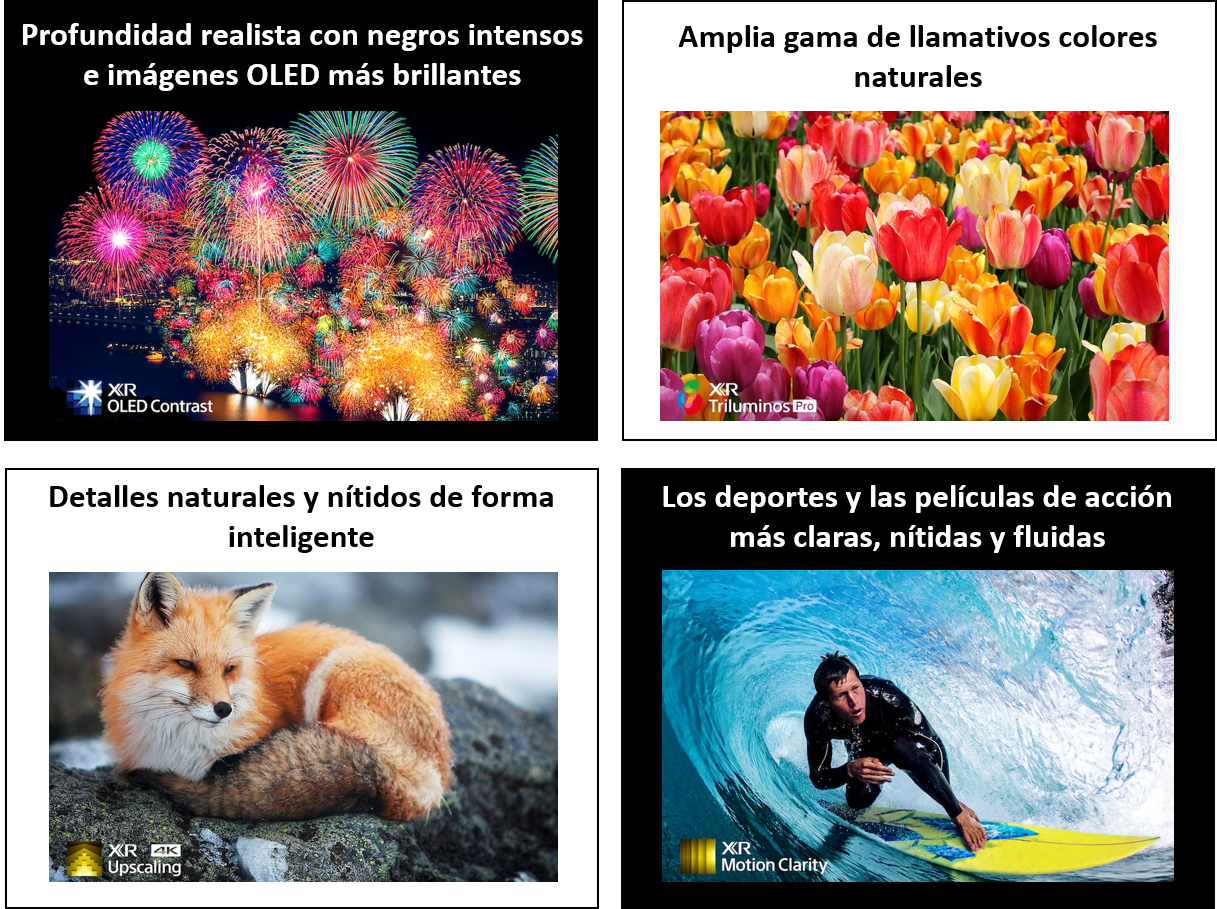 Un collage de imágenes. Características de visualización de un televisor, incluidos colores vibrantes y detalles naturales.
