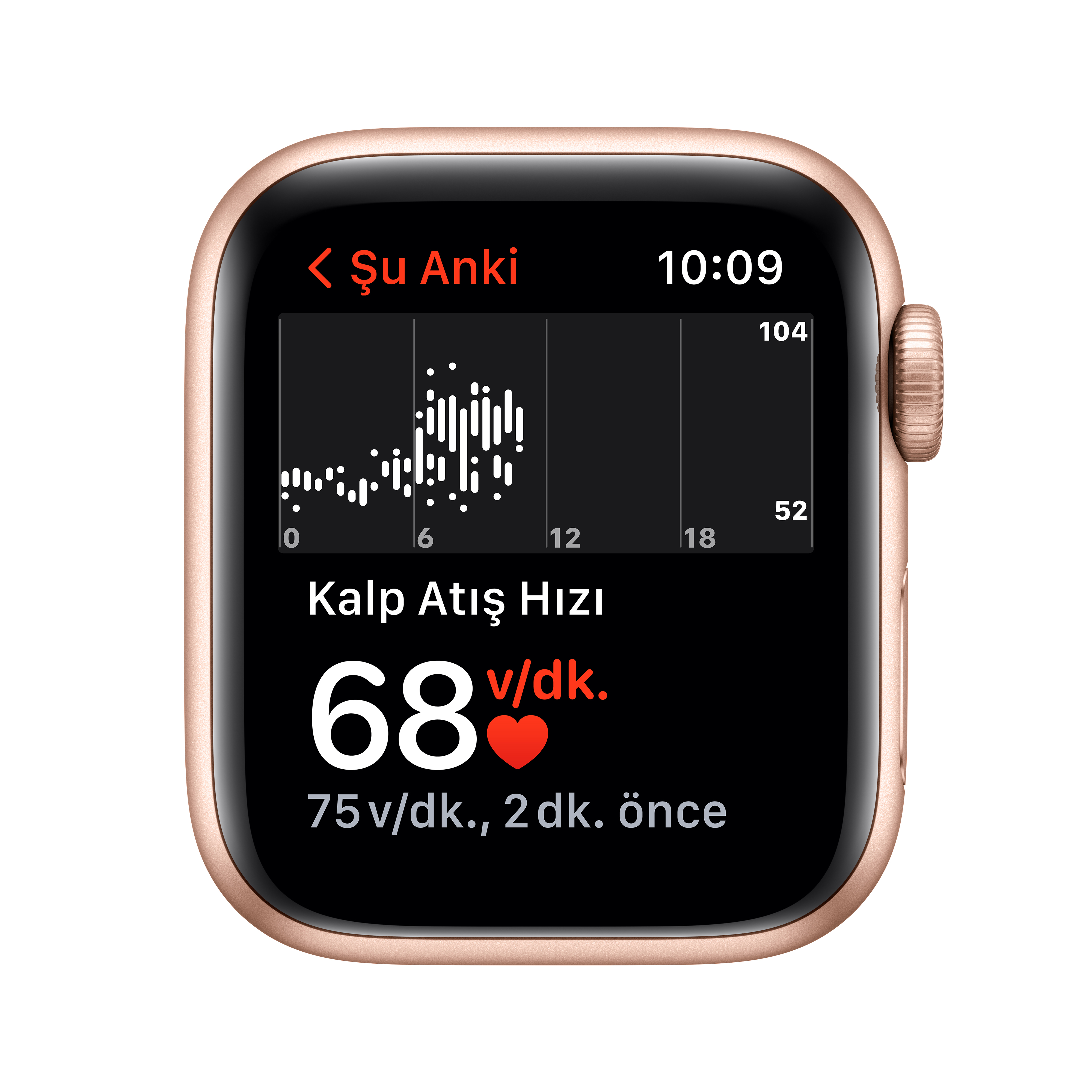 APPLE Watch Series SE 1.Nesil GPS, 40mm Altın Rengi Alüminyum Kasa ve Spor Kordon