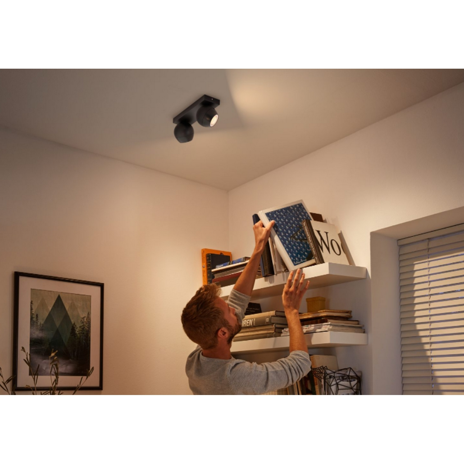 Lámpara inteligente - Philips Hue White Ambiance Buckram, Foco doble, Amazon Alexa y Google Assistant, Negro