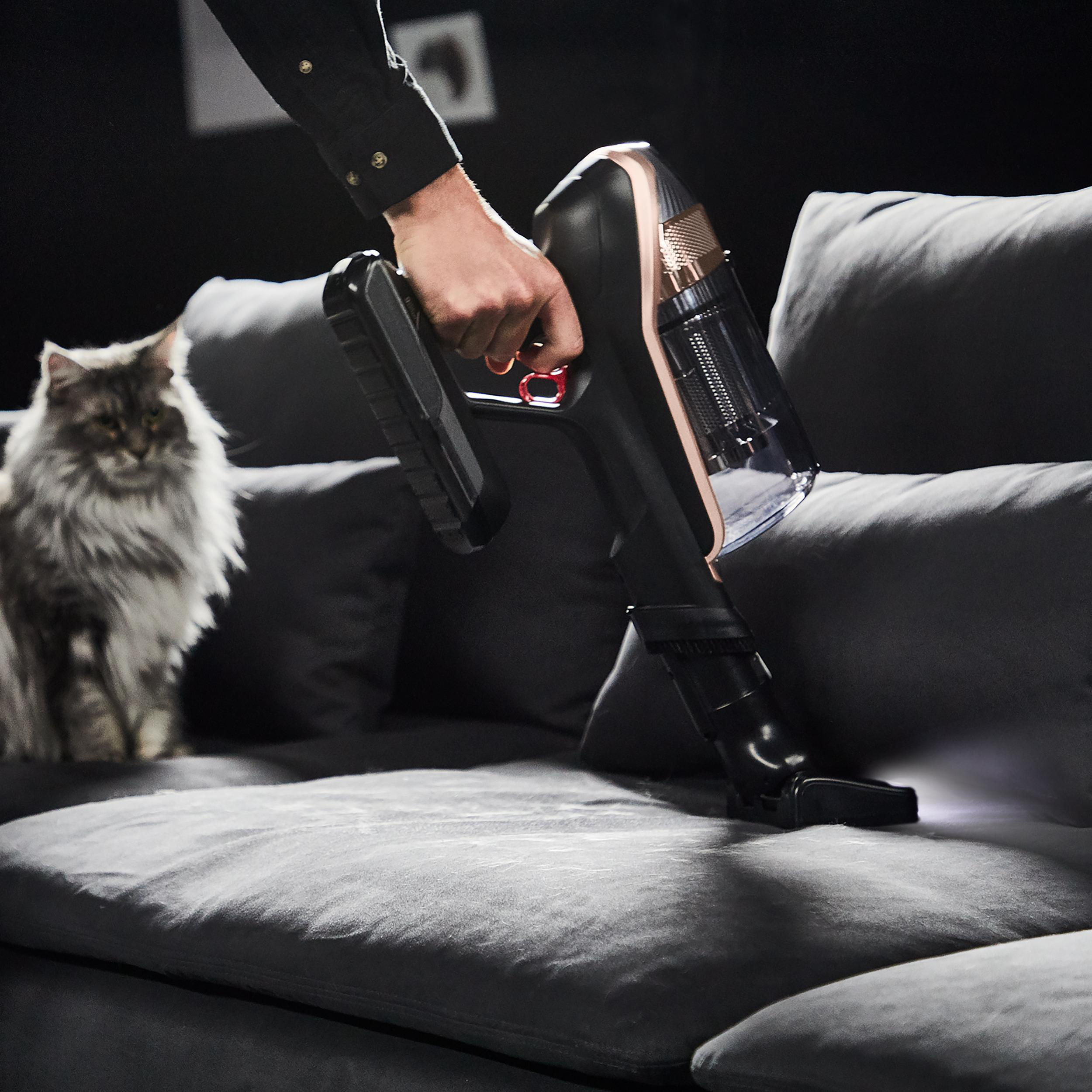 Eine Person, die ein graues Sofa mit einem kabellosen Staubsauger absaugt. Eine Katze sitzt in der Nähe.
