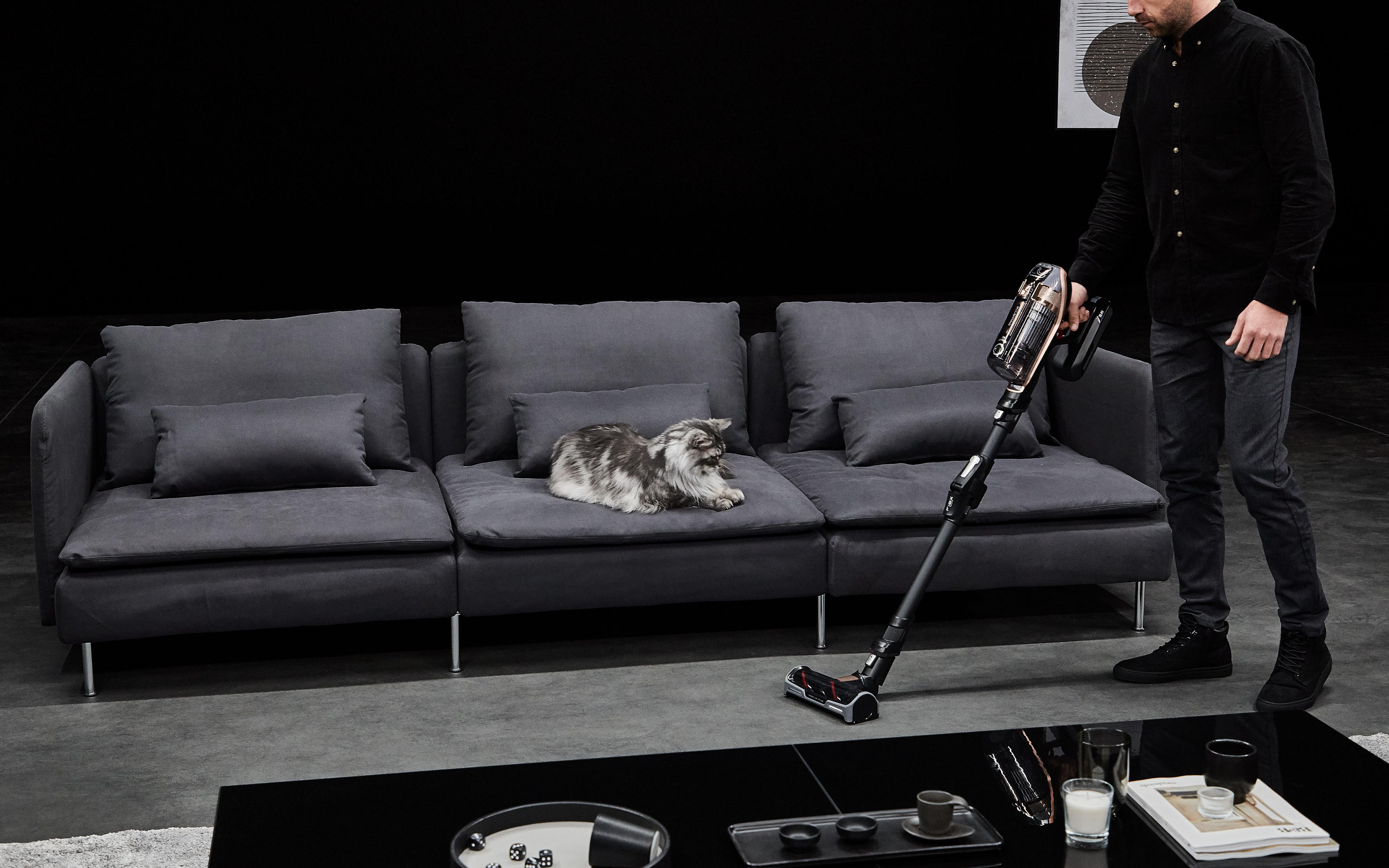 Ein Mann saugt ein Sofa mit einer Katze darauf. Schwarzer Hintergrund, graues Sofa und ein Mann in schwarzer Kleidung.