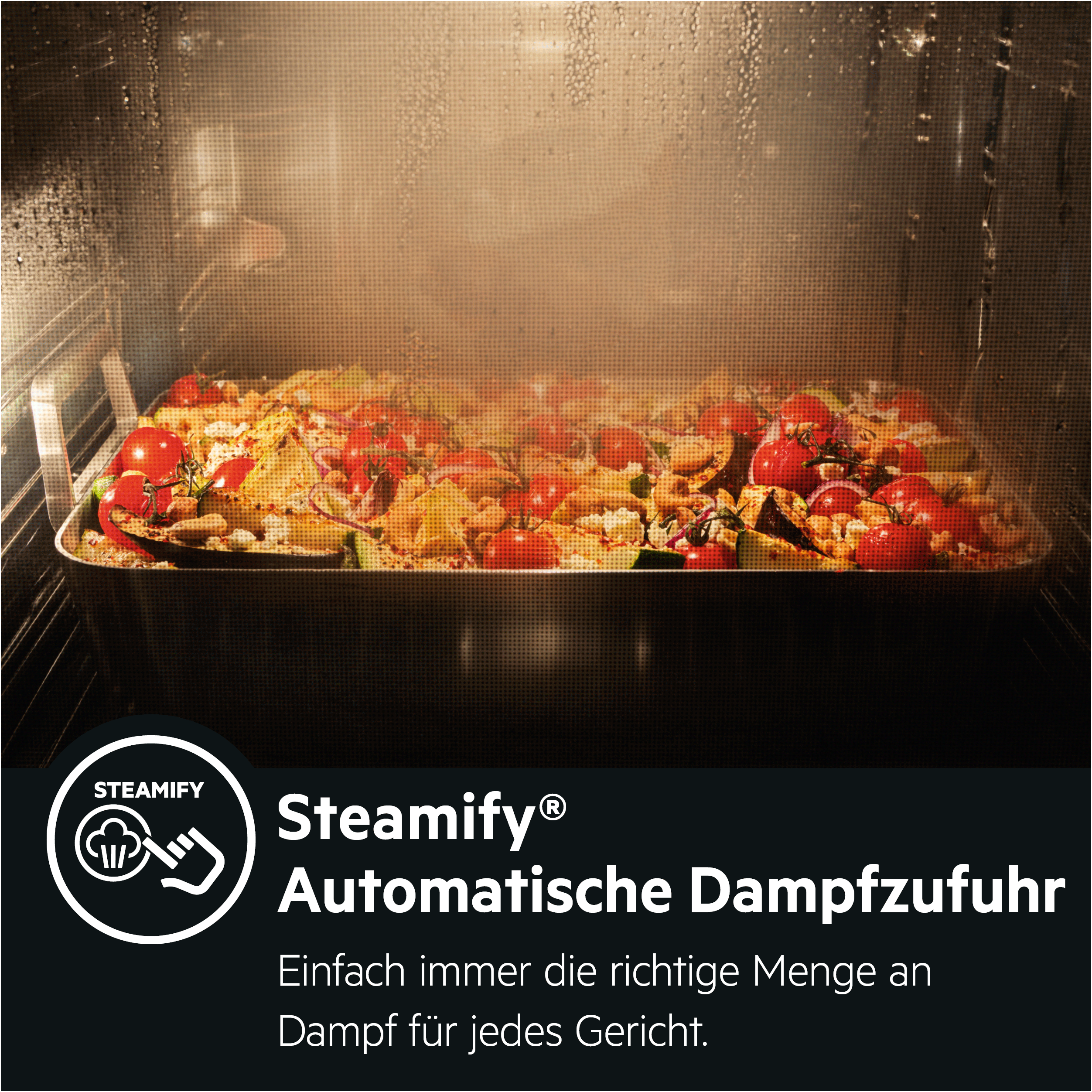AEG BCO7881V2, Backofen (Einbaugerät, 70 l, 595 mm breit), Dampfgarfunktion