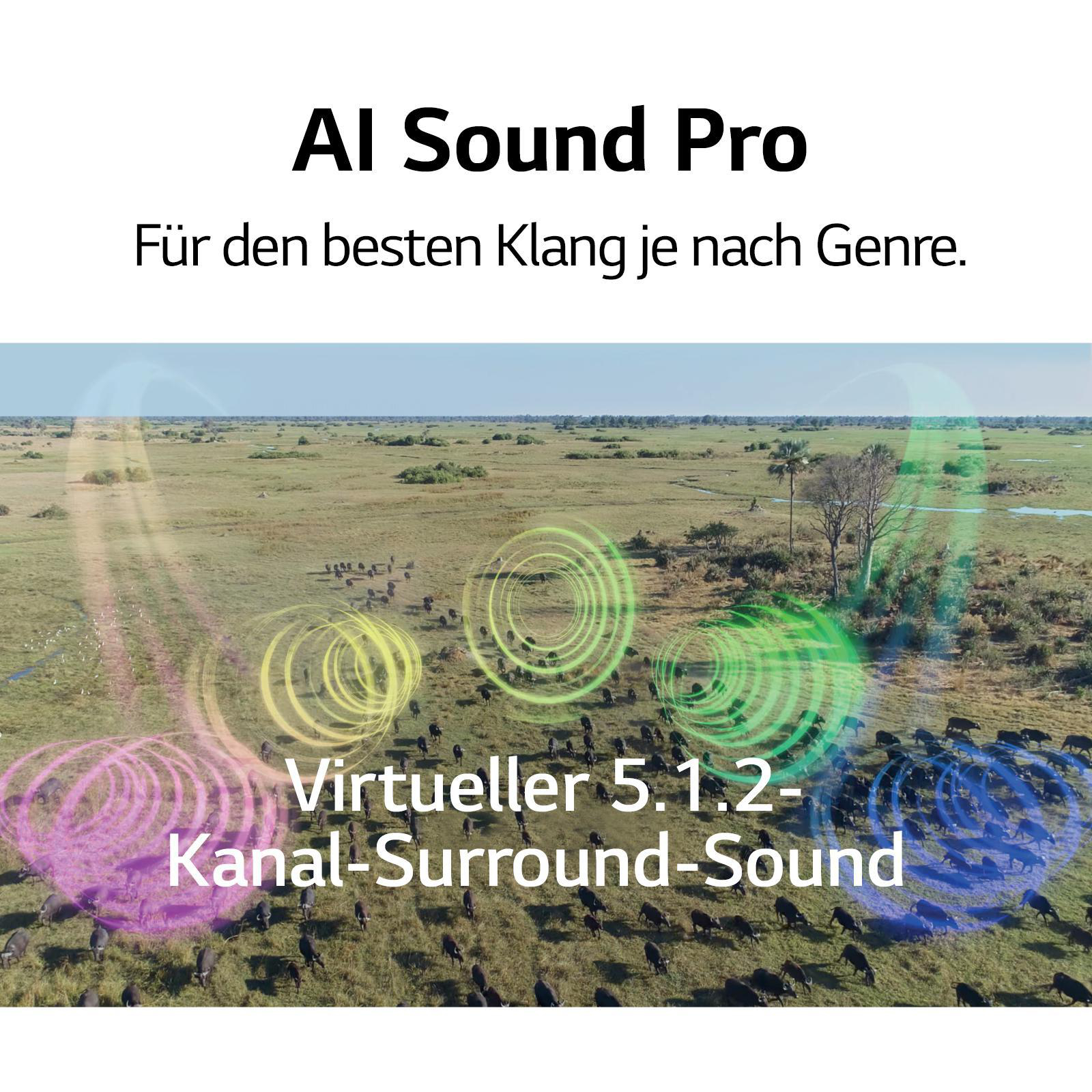 LG OLED48C17LB OLED TV (Flat, 48 Zoll / 121 cm, UHD 4K, SMART TV)