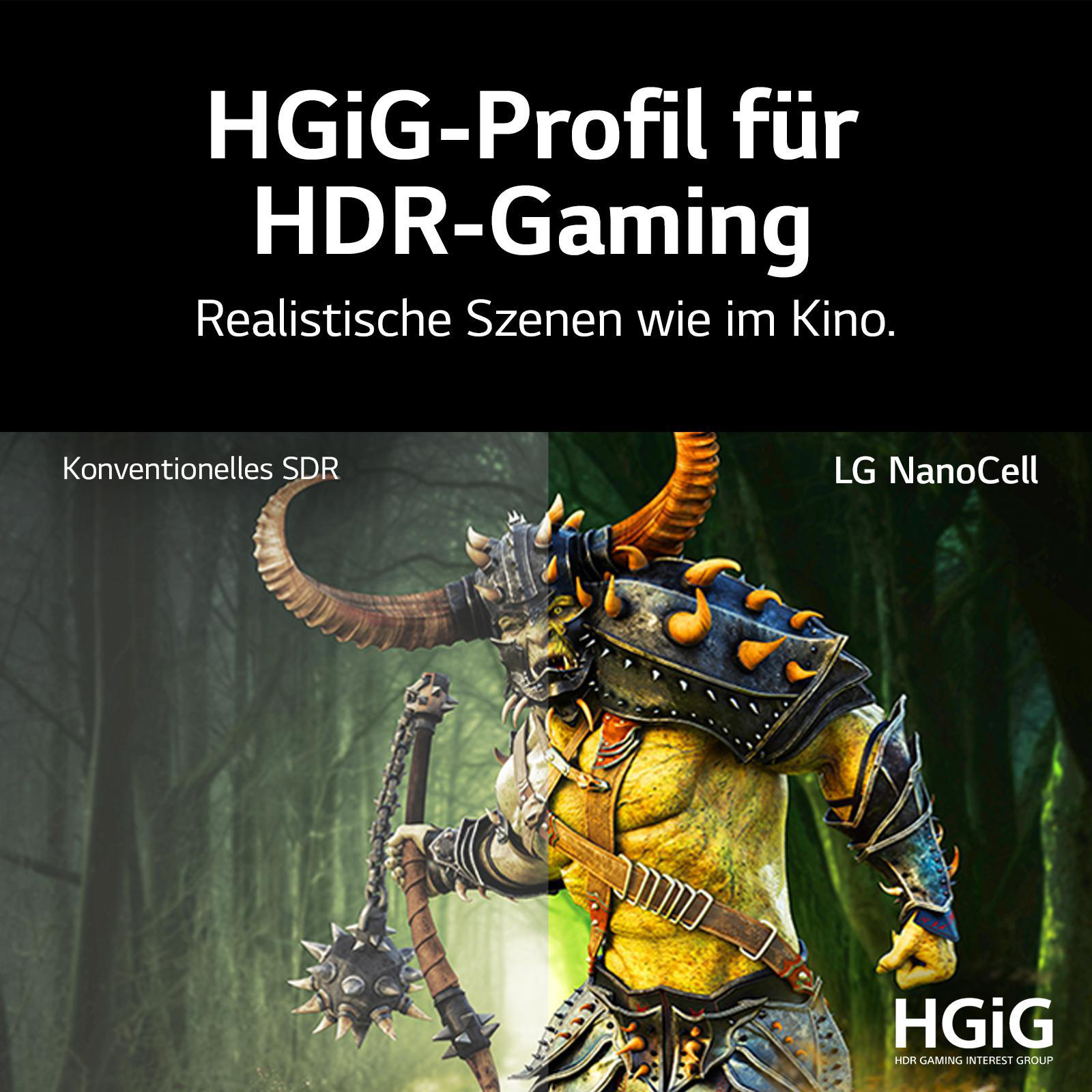 LG 55NANO866PA NanoCell LED TV (Flat, 55 Zoll / 139 cm, UHD 4K, SMART TV, webOS 6.0 mit LG ThinQ)