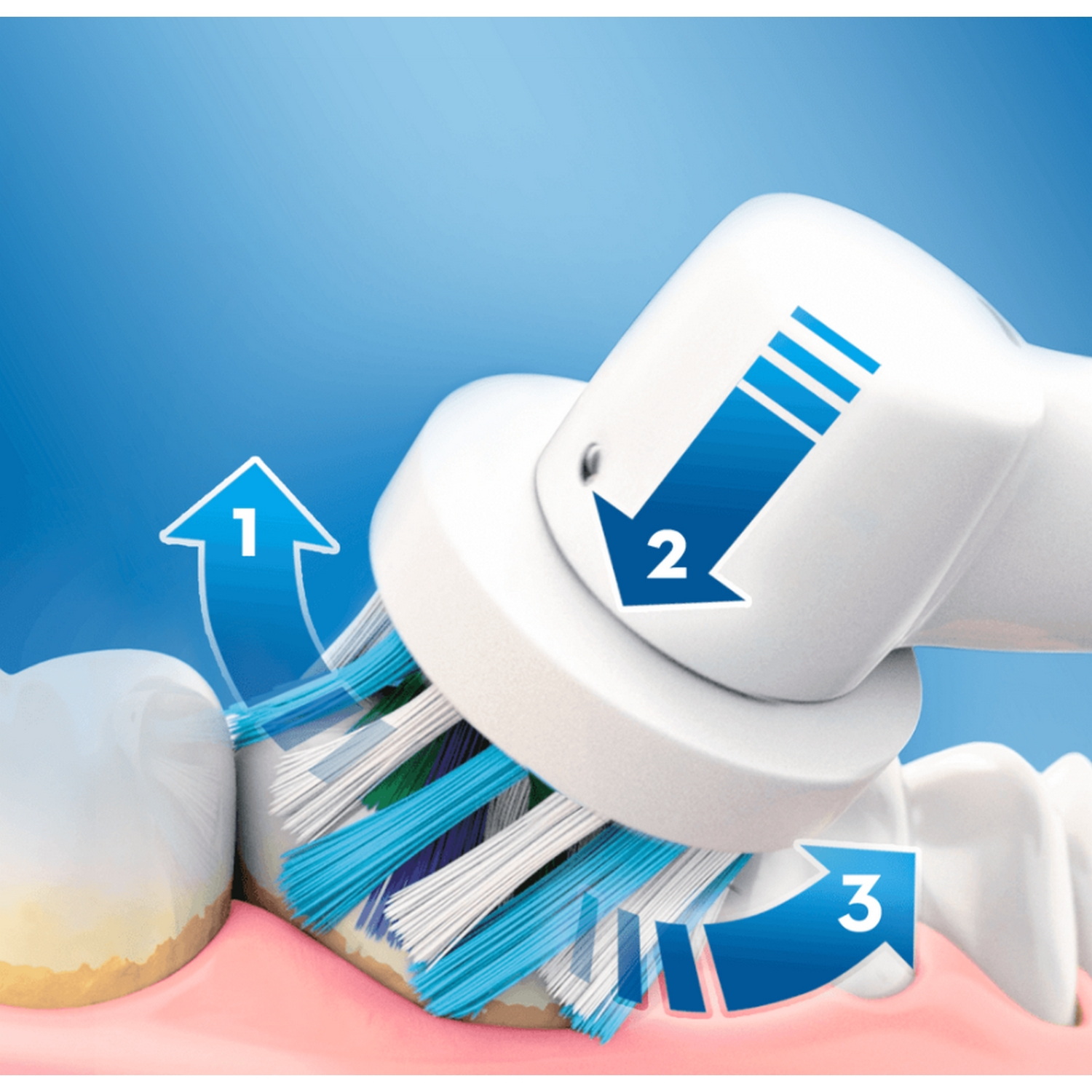 Un cabezal de cepillo de dientes eléctrico con cerdas azules y blancas, cerca de un diente.