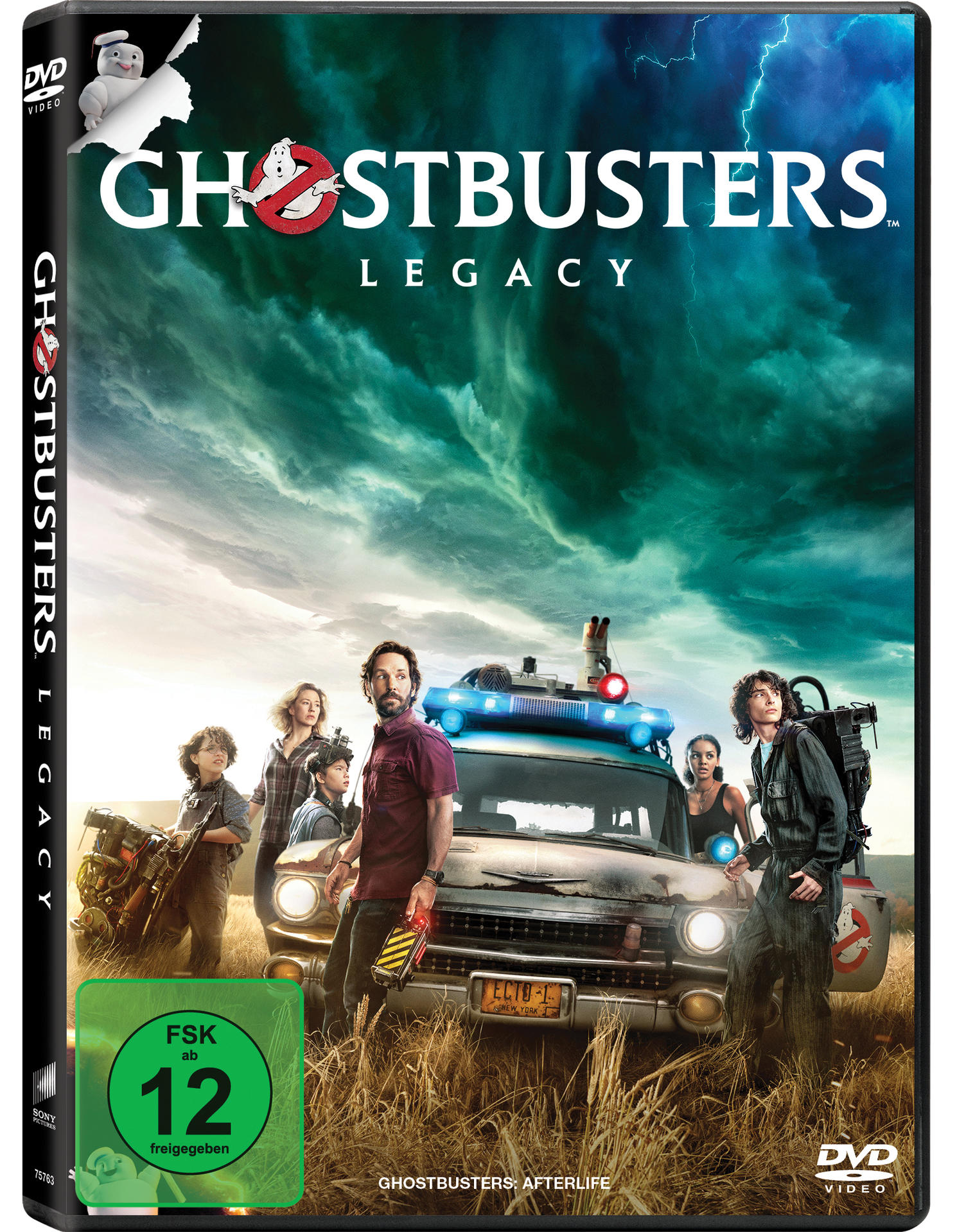 Die Ghostbusters-Besetzung steht vor dem Ecto-1 im Feld unter einem stürmischen Himmel.