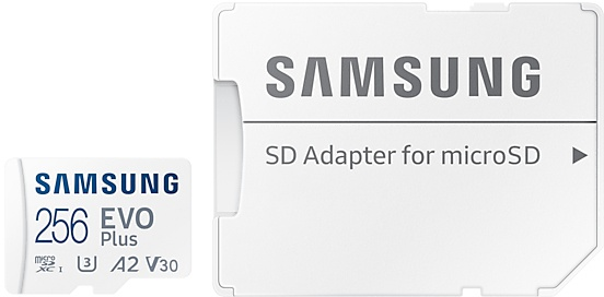 White Samsung SD card with an SD adapter for microSD and a 256 EVO Plus micro SD card.