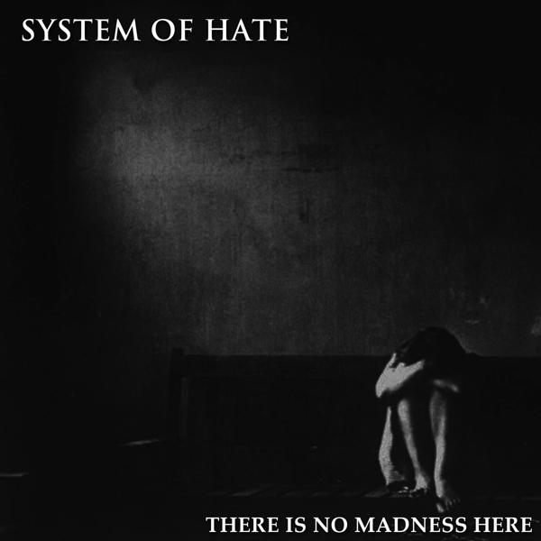 System Of Hate - There Is No Madness Here  - (LP + Download)