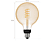 PHILIPS HUE Bluetooth Ledlamp warm tot koelwit licht E27 G125 Globe (30154200)