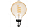 PHILIPS HUE Bluetooth Ledlamp warm tot koelwit licht E27 G93 Globe (30148100)