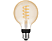 PHILIPS HUE Bluetooth Ledlamp warm tot koelwit licht E27 G93 Globe (30148100)