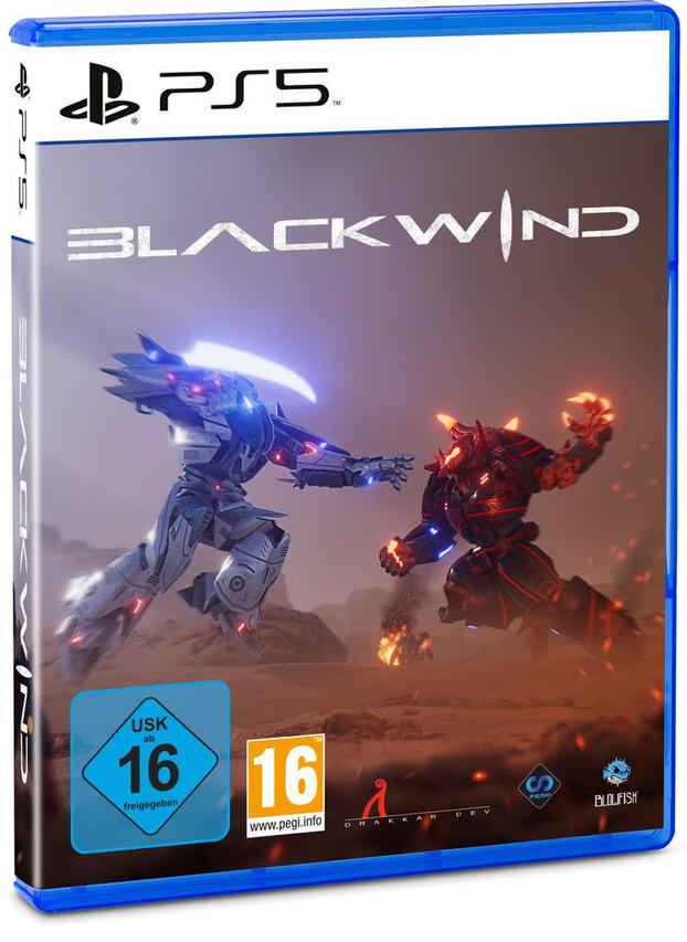 PS5-Spielcover mit zwei kämpfenden Figuren, in einer Wüstenumgebung.