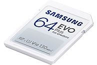 SAMSUNG EVO Plus 64GB, SDXC (MB-SD64K)