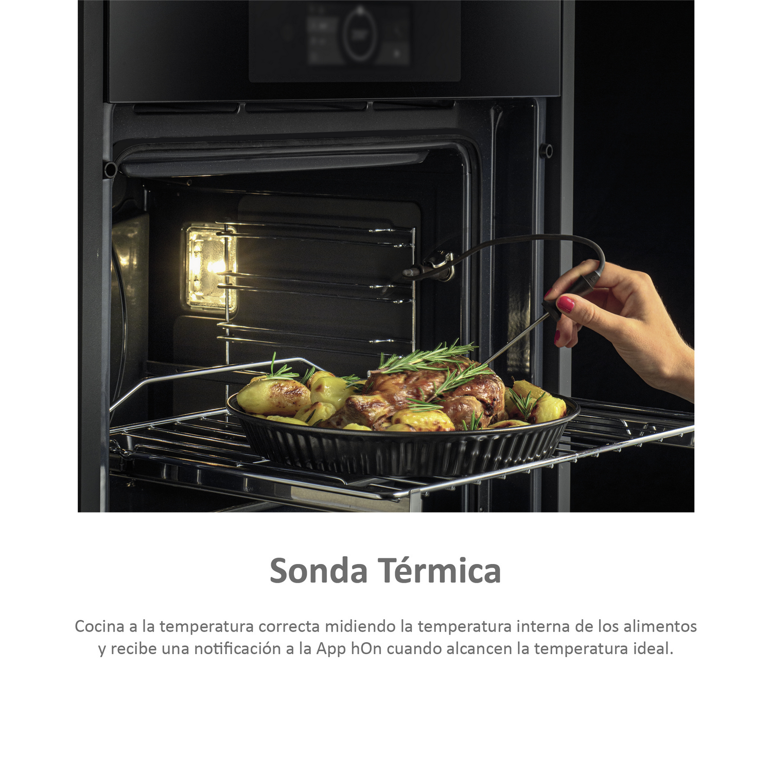 Horno con comida dentro. Una mano sostiene una sonda térmica.