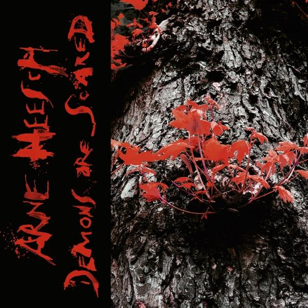 Arne Heesch - Demons Are Scared  - (LP + Bonus-CD)