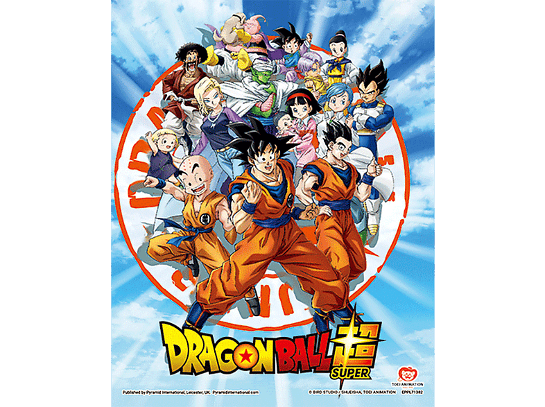 Póster 3D  Sherwood Dragon Ball Super: Goku & Z Fighters, 23.5 x