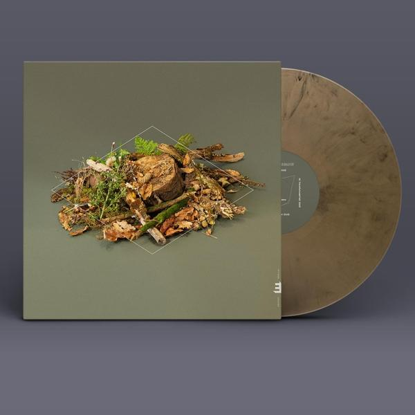 Fergus Mccreadie - Floor Forest (Vinyl) 