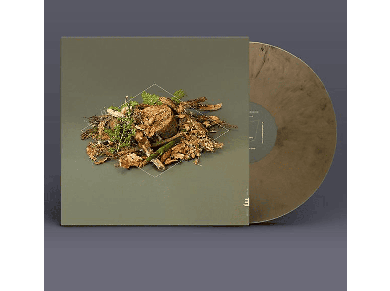 Fergus Mccreadie - Floor Forest (Vinyl) 