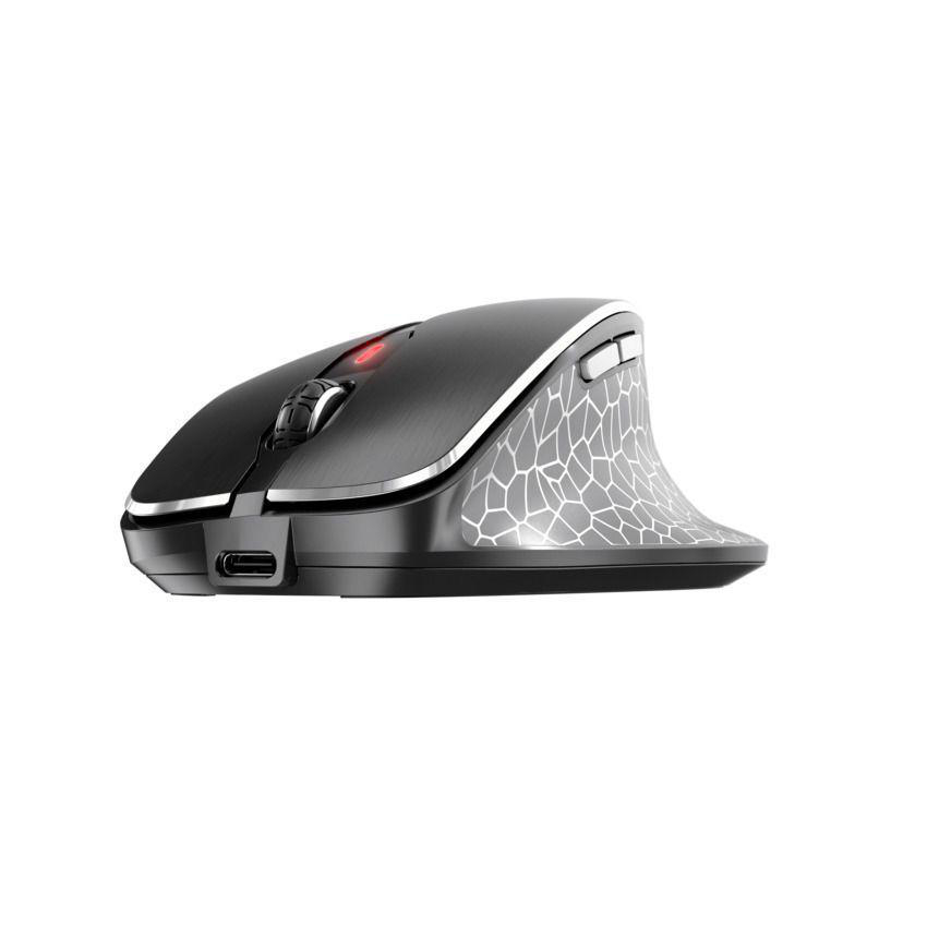 Eine schwarze Logitech-Maus mit einer gemusterten silbernen Seite.