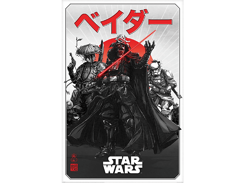 PYRAMID INTERNATIONAL Star Wars Poster Visions Da-ku Saido Großformatige Poster