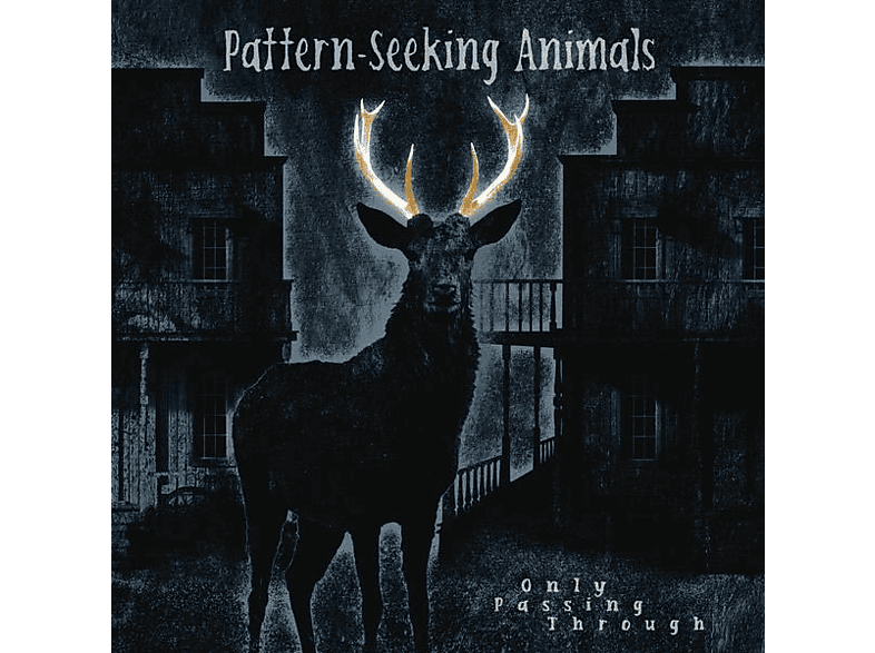 (LP Animals Pattern-seeking Through Only Bonus-CD) + - - Passing