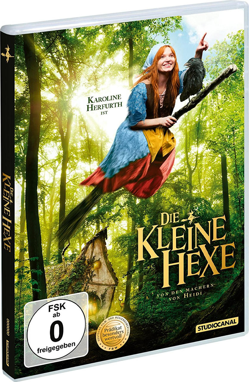 Eine Hexe mit einem Raben fliegt auf einem Besen über einem Märchenwald mit einem Haus.