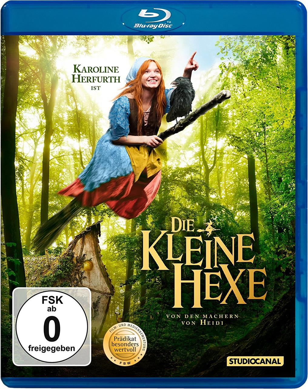 Eine Hexe auf einem Besen fliegt durch einen Wald, neben ihr ein Rabe.