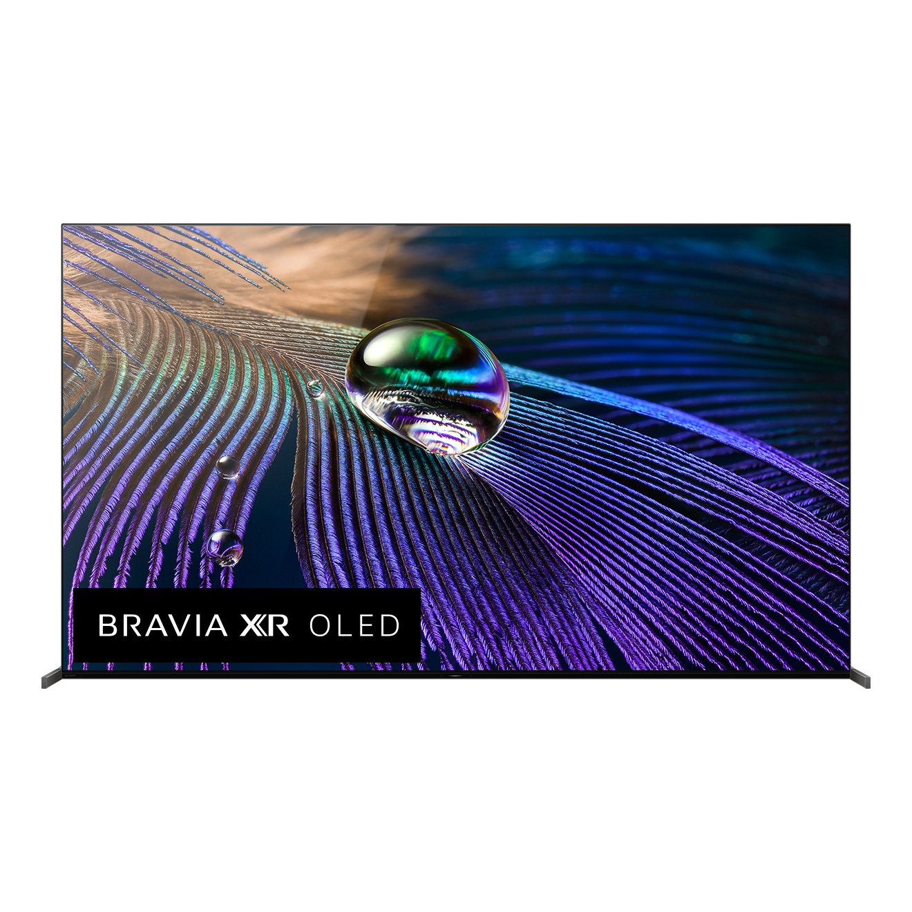 Fernseher zeigt Wassertropfen auf Federn mit den Worten BRAVIA XR OLED.