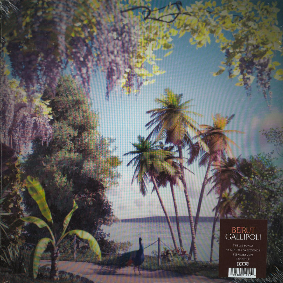 Beirut - GALLIPOLLI  - (Vinyl)