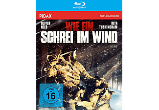 Wie ein Schrei im Wind (Blu-Ray) [Blu-ray]