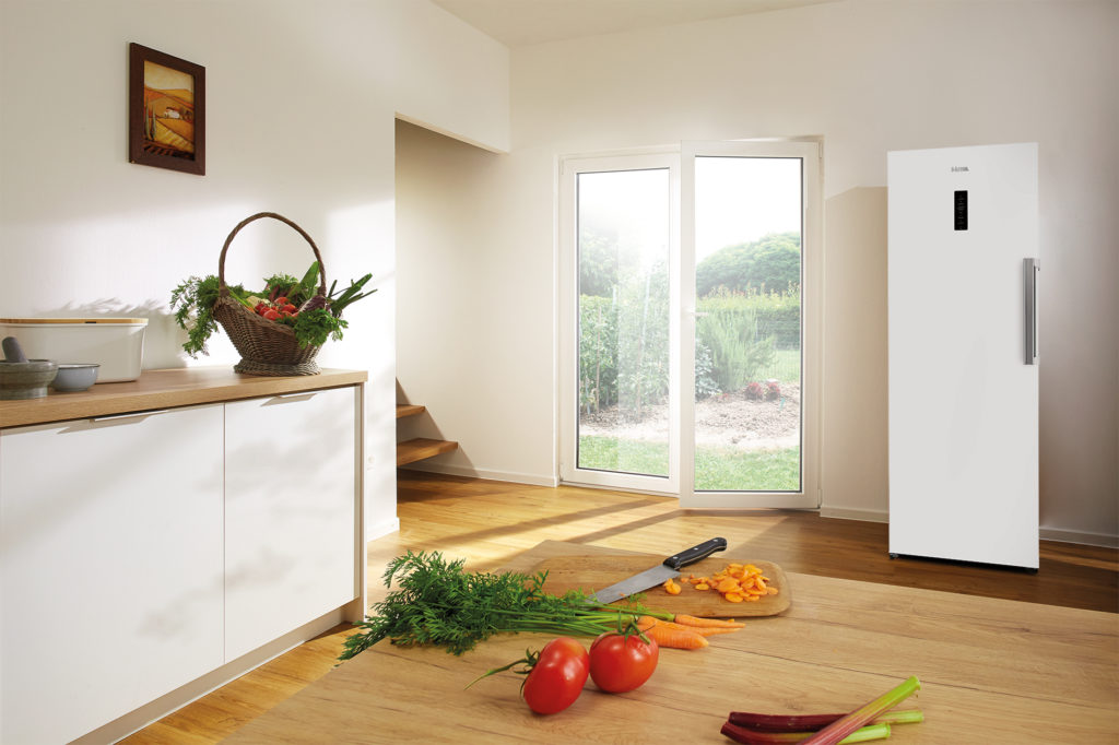 ETNA Congélateur armoire F (VV2185NWIT)
