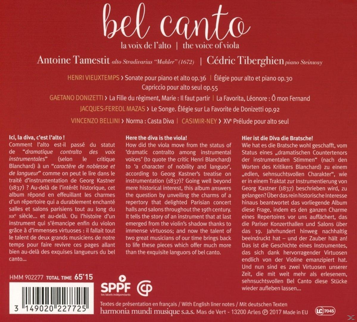 Kottalap több nyelven írt szöveggel. Cím: Bel Canto. Egy nő műalkotása középen.