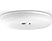 PHILIPS HUE White Ambiance Struana - Lampade da soffitto (Bianco)