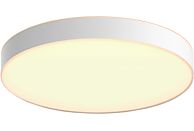 PHILIPS HUE White Ambiance Enrave S - Lampade da soffitto (Bianco)