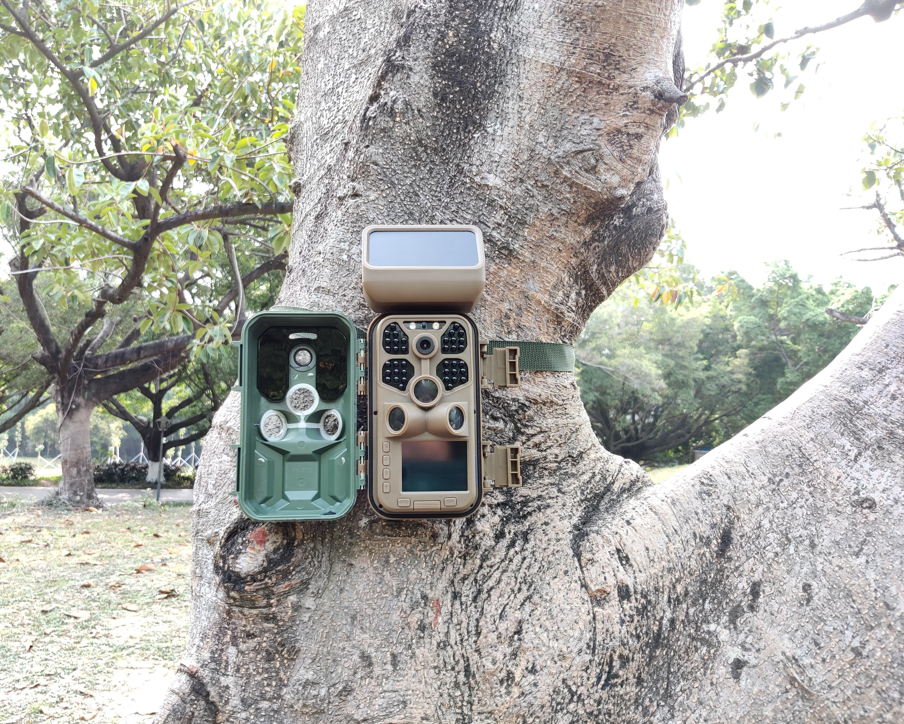 Wildkamera an einem Baum befestigt, mit kleinem Bildschirm und grünem Gurt.