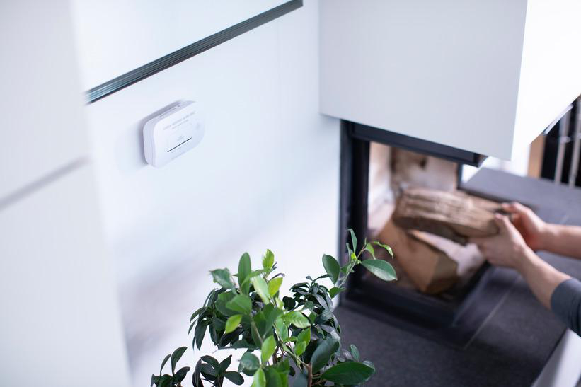 Innenraum mit weißer Wand, Kamin und einer grünen Pflanze im Topf.