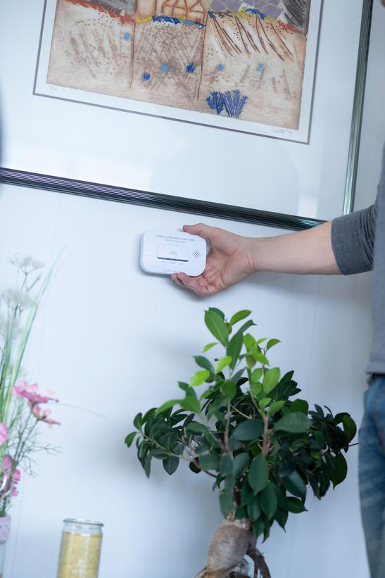 Hand hält weißen Rauchmelder an einer Wand neben Pflanze und Bilderrahmen.