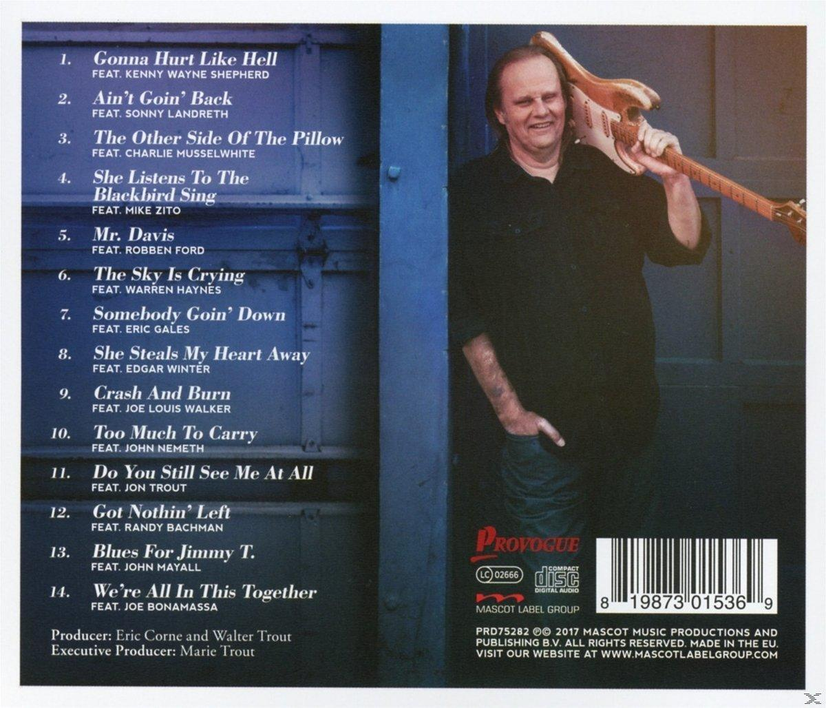 Walter Trout - We're All In This Together  - (CD)